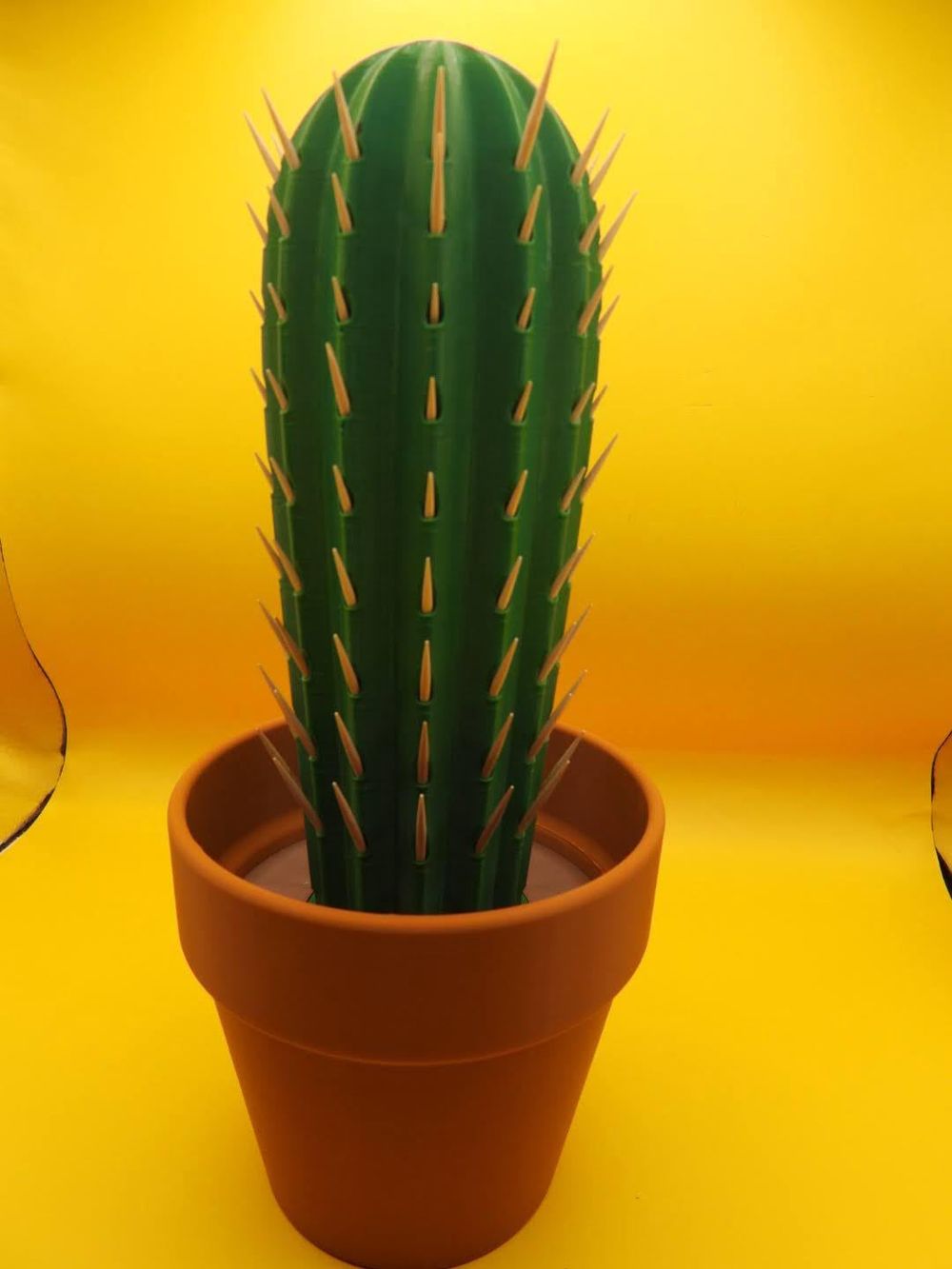 Cactus Toothpick Holder!