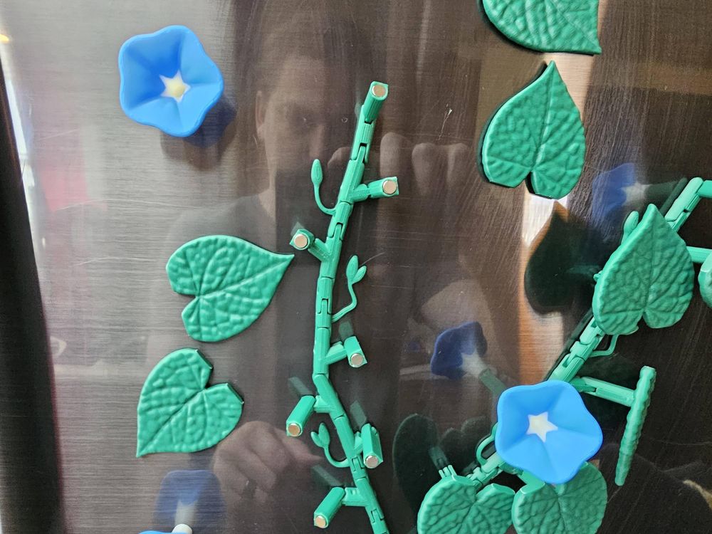 Morning Glory Magnet Set