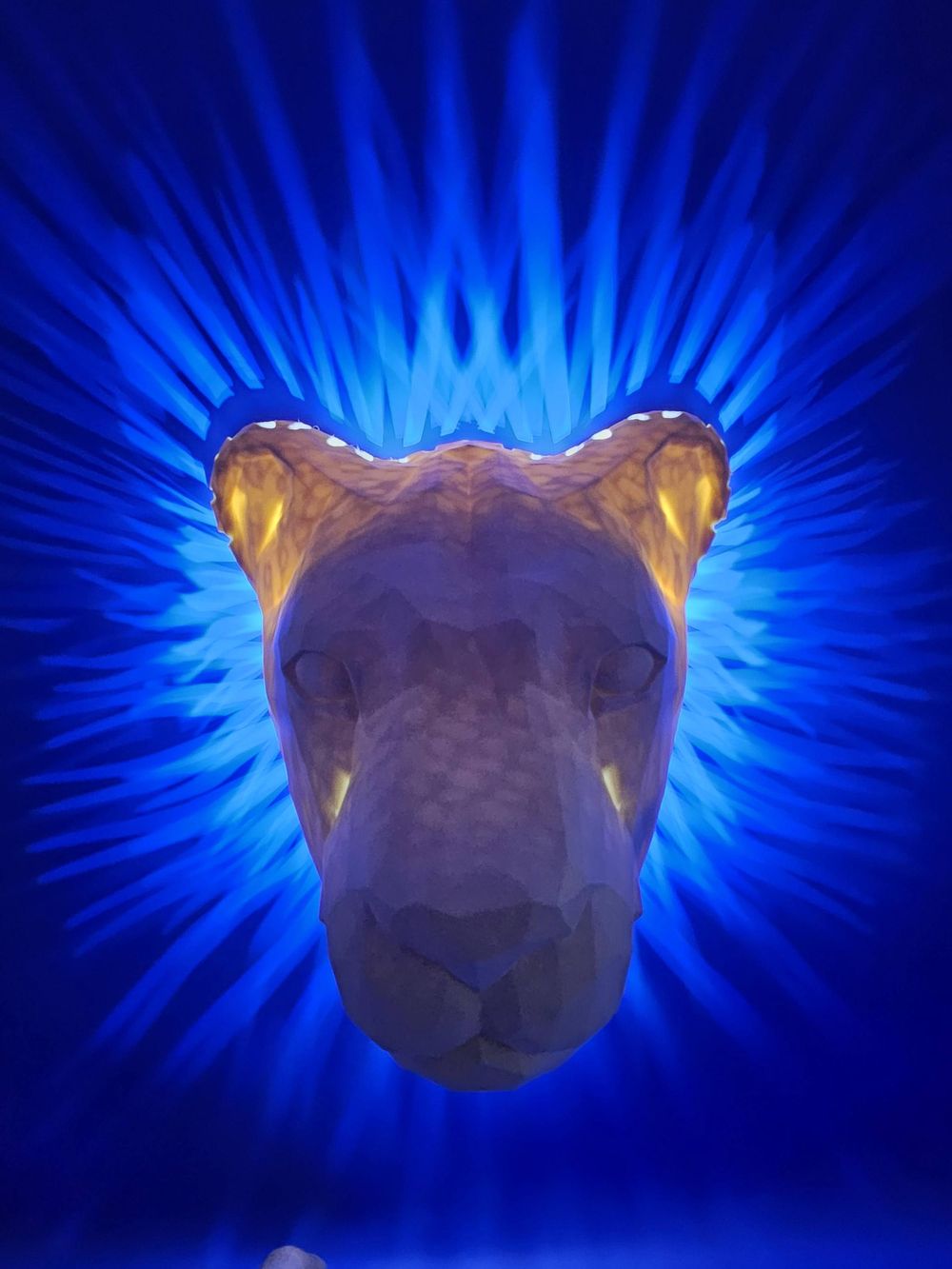 3DHero Nightlights! Illuminate Your Imagination