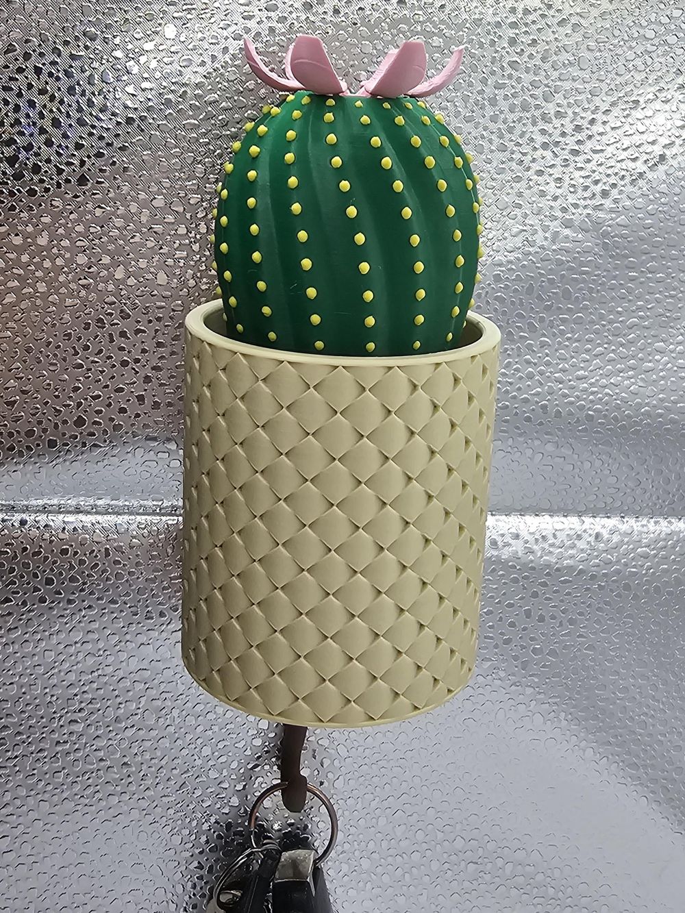 Blooming Cactus Key Holder